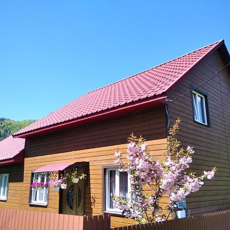 Verkhnyaya Bystra Відпочинок У Карпатах, Мінеральні Ванни, Банний Чан! 게스트하우스 외부 사진