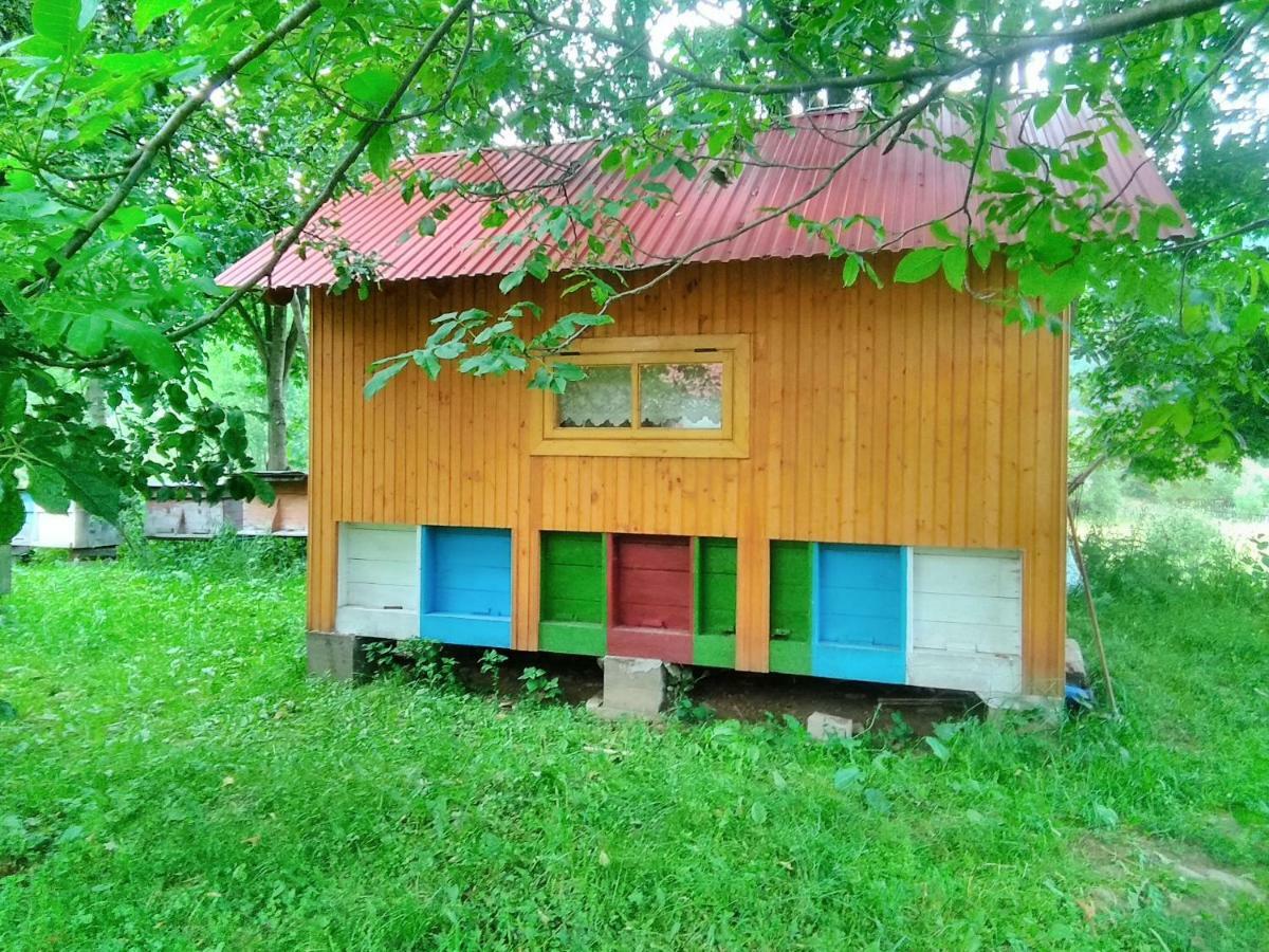 Verkhnyaya Bystra Відпочинок У Карпатах, Мінеральні Ванни, Банний Чан! 게스트하우스 외부 사진